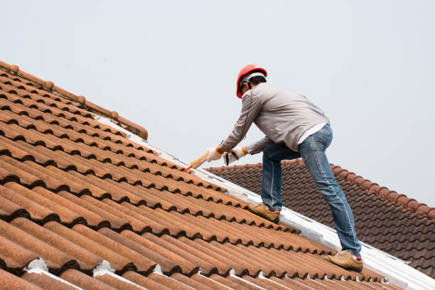 Best Metal Roofing Installation  in Lena, IL