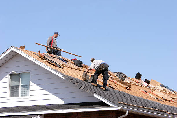 Best Asphalt Shingle Roofing  in Lena, IL