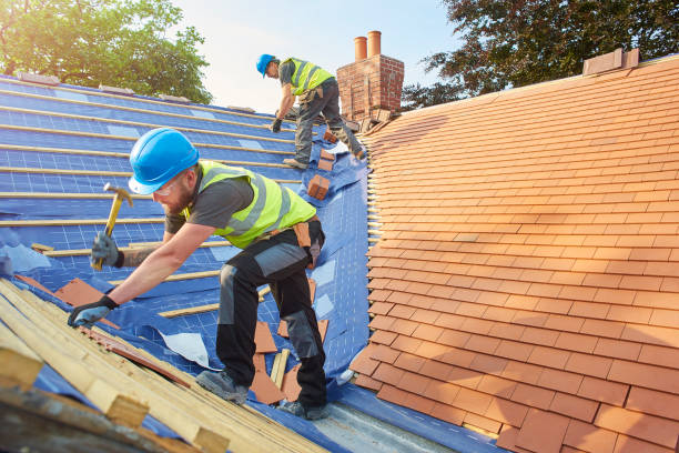 Best Emergency Roof Repair Services  in Lena, IL